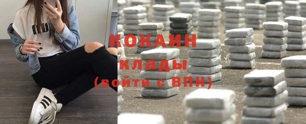 индика Армянск