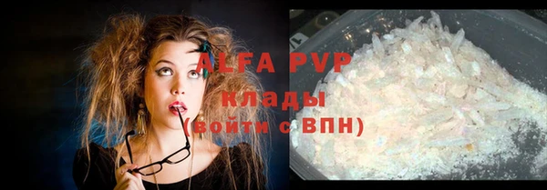 индика Армянск