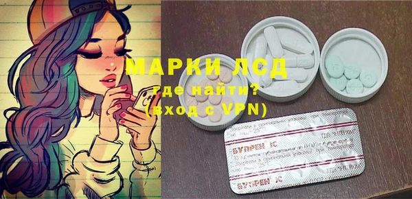 индика Армянск