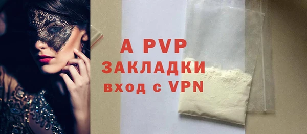индика Арсеньев