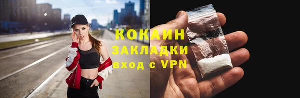индика Арсеньев