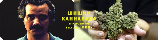 индика Арсеньев