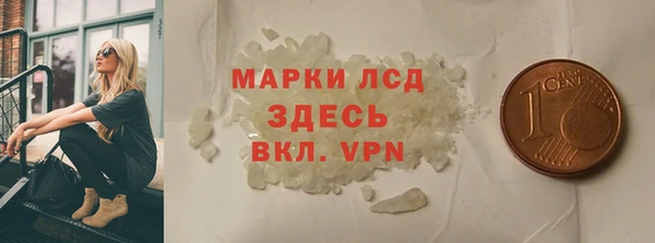индика Арсеньев