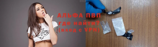 индика Арсеньев