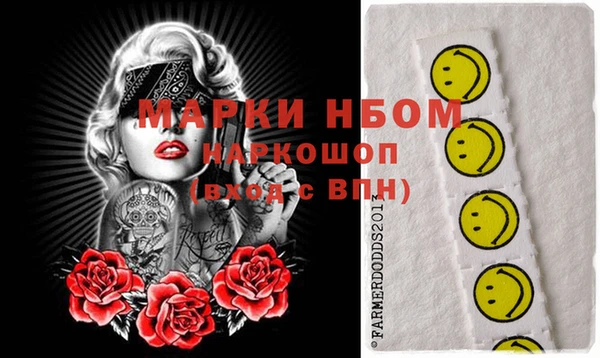 индика Арсеньев