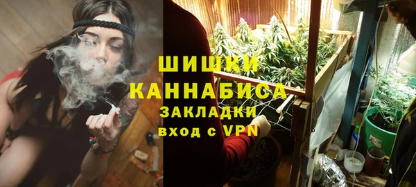 индика Армянск