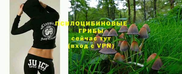 индика Армянск