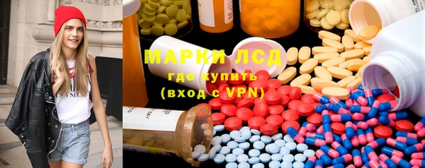 индика Арсеньев