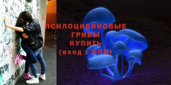 индика Армянск